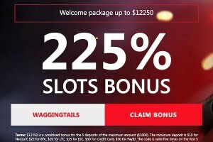 Red Dog Casino 225% Slots Bonus