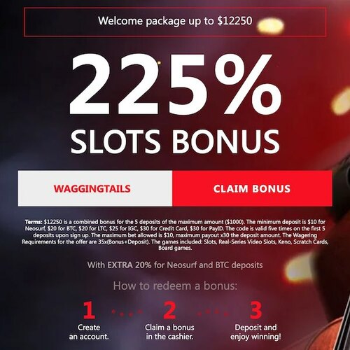 Red Dog Casino Welcome Package