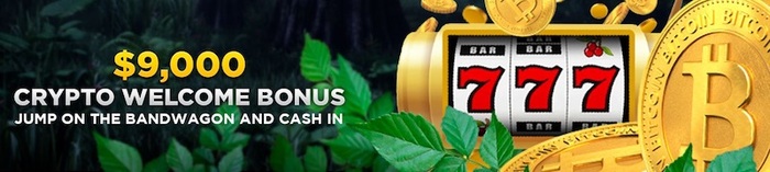 Wild Casino Crypto Welcome Bonus